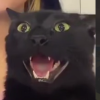 ������