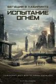 Постер Бегущий в лабиринте 2: Испытание огнём (2015)