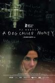    : A Dog Called Money (2019)