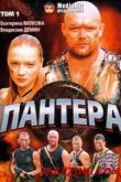 Постер Пантера (2007)