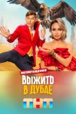 Постер Выжить в Дубае (1-2 Сезон)