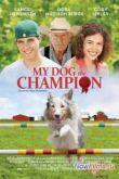 Постер Чемпион (2013)