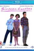 Постер Шестнадцать свечей (1984)