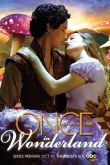 Постер Однажды в стране чудес (2013)