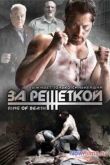 Постер Смертельный ринг (2008)