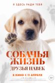Постер Собачья жизнь: Друзья навек (2023)