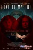 Постер Любовь моей жизни (2013)