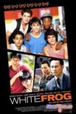 Постер Белая лягушка (2012)