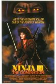 Постер Ниндзя III: Господство (1984)