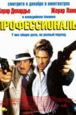 Постер Профессионалы (2004)
