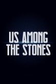 Постер Среди камней (2019)