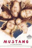 Постер Мустанг (2015)