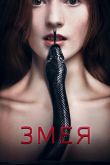 Постер Змея (2017)