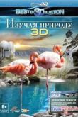 Постер Изучая природу 3D (2012)