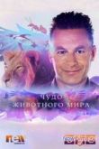 Постер Чудо животного мира (2014)