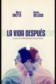 Постер Жизнь после (2015)