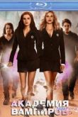 Постер Академия вампиров (2014)