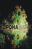 Постер Коронавирус. Все, что нужно знать (2020)