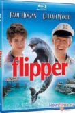Постер Флиппер (1996)