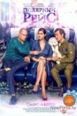 Постер Полярный рейс (2013)