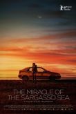 Постер Чудо Саргассова моря (2019)
