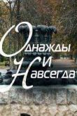 Постер Однажды и навсегда (2015)
