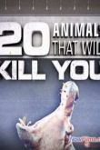 Постер 20 животных, которые могут вас убить (2012)