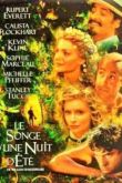 Постер Сон в летнюю ночь (1999)