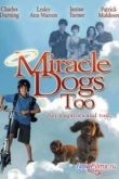 Постер Зак и чудо-собаки (2006)