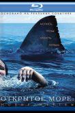 Постер Открытое море 3: Новые жертвы (2010)