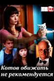 Постер Котов обижать не рекомендуется (2018)