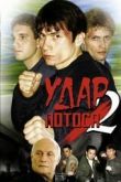 Постер Удар Лотоса 2: Сладкая горечь полыни (2002)