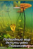 Постер Подводный мир дельты реки Окаванго (2014)