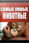 Постер Самые умные животные (2012)
