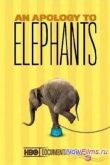 Постер В защиту слонов (2013)