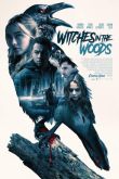 Постер Ведьмы в лесу (2019)
