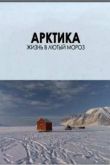 Постер Арктика. Жизнь в лютый мороз (2012)