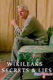 Постер Викиликс. Секреты и ложь (2011)