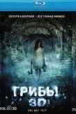 Постер Грибы 3D (2011)