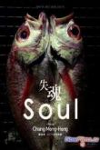 Постер Душа (2013)