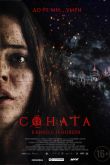 Постер Соната (2018)
