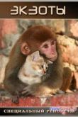 Постер Специальный репортаж. Экзоты (2013)