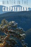 Постер Зима в Карпатах (2017)