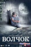 Постер Волчок (2009)