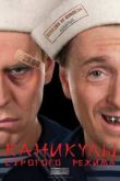 Постер Каникулы строгого режима (2009)