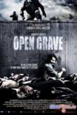 Постер Открытая могила (2013)