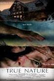 Постер Истинная суть (2010)