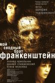 Постер Мой сводный брат Франкенштейн (2004)