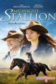 Постер Полночный жеребец (2013)