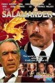 Постер Саламандра (1981)